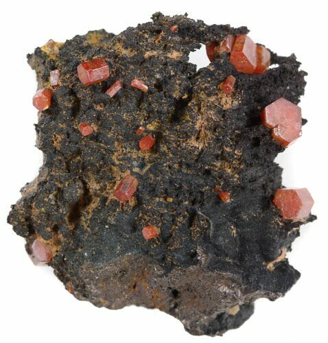 Red Vanadinite Crystals on Manganese Oxide - Morocco #38481